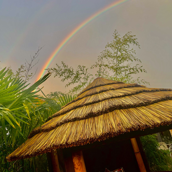 Rainbow over thatched roof of a Breeze House