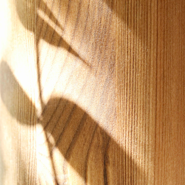 Breeze House timber with leaf shadow